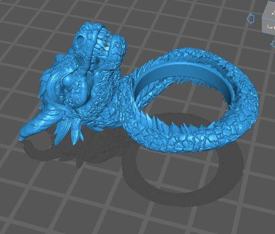 Dragon Ring by Mystic Makers Miniatures – REVIEW