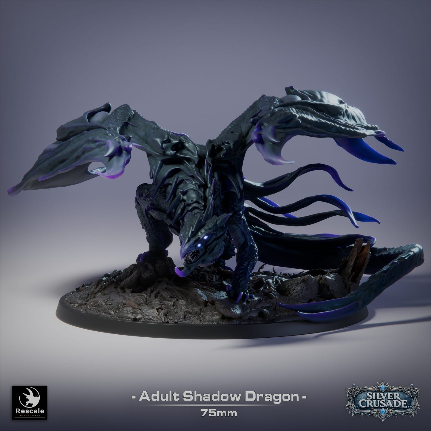 🌑 Shadow Dragon (Adult) | 12K Resin 75mm Umbral Terror for D&D & RPGs 🐲