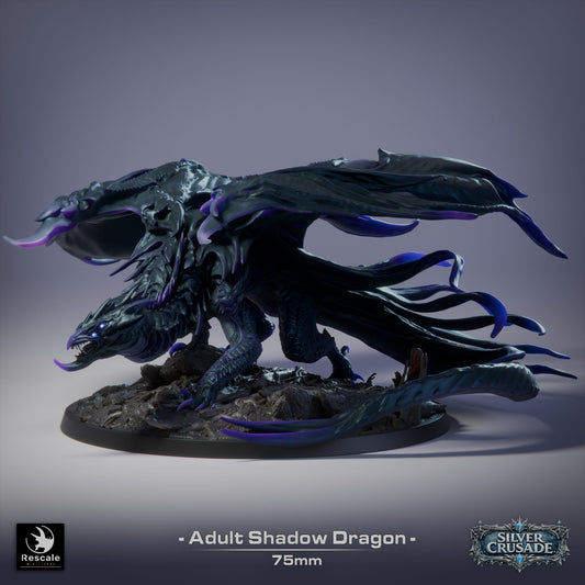 🌑 Shadow Dragon (Adult) | 12K Resin 75mm Umbral Terror for D&D & RPGs 🐲