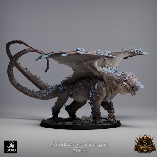 Crystal Dragon (Adult) | 12K Resin Gemstone Dragon for D&D & RPGs