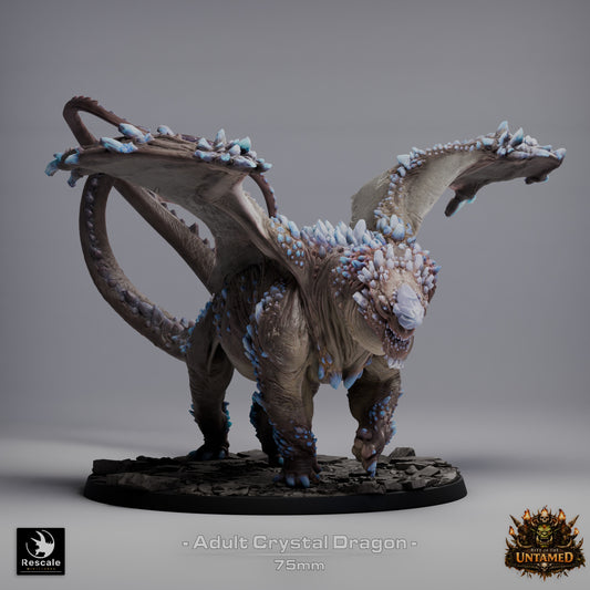 Crystal Dragon (Adult) | 12K Resin Gemstone Dragon for D&D & RPGs