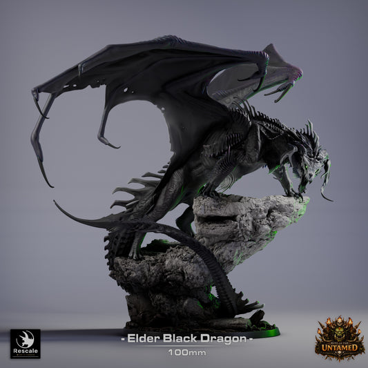 Black Dragon Elder | Premium 12K Resin Dragon for D&D & RPGs