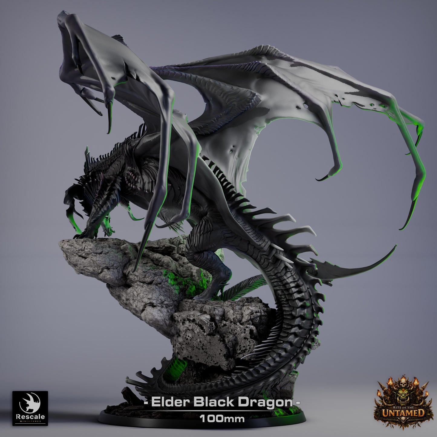 Black Dragon Elder | Premium 12K Resin Dragon for D&D & RPGs