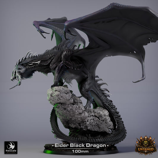Black Dragon Elder | Premium 12K Resin Dragon for D&D & RPGs