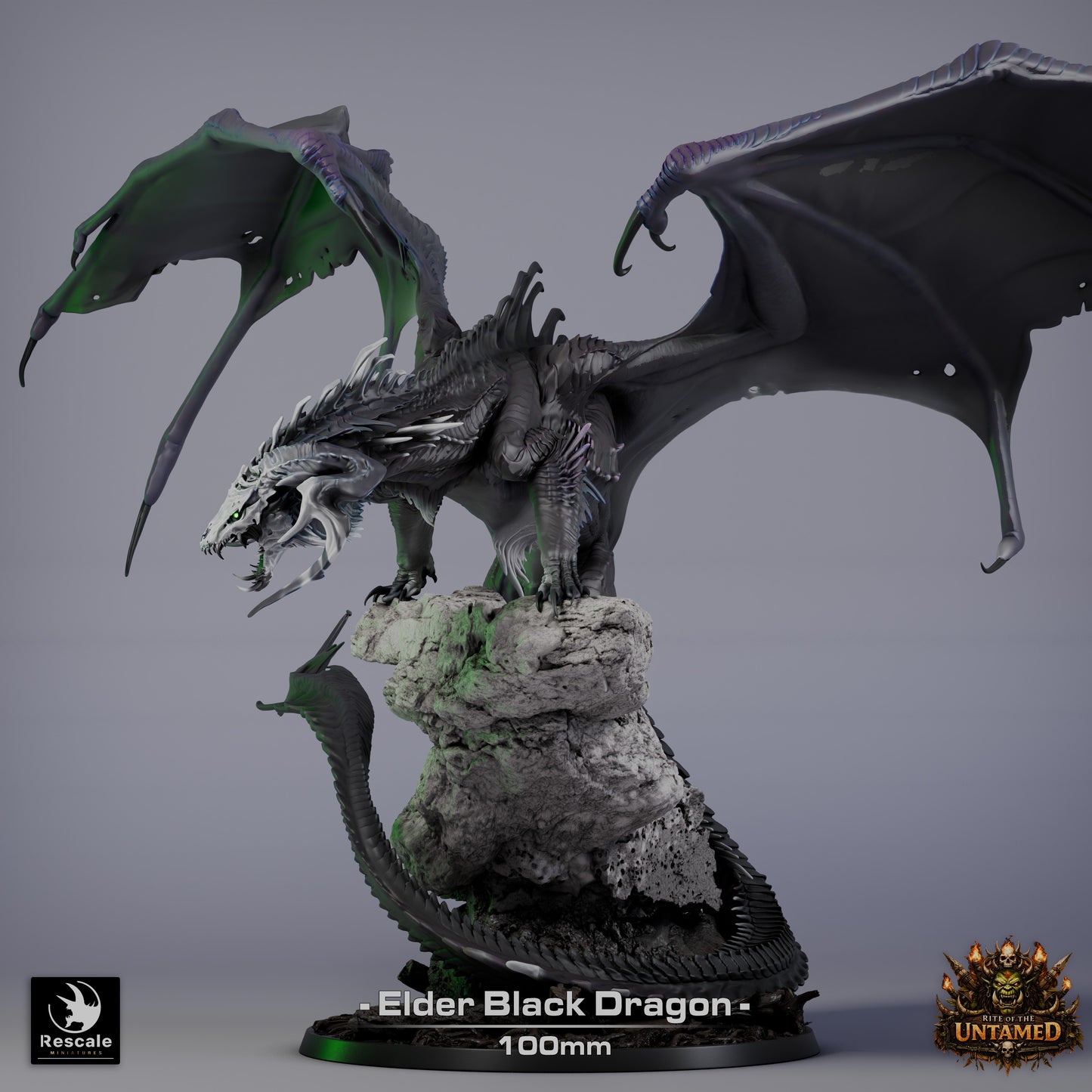 Black Dragon Elder | Premium 12K Resin Dragon for D&D & RPGs